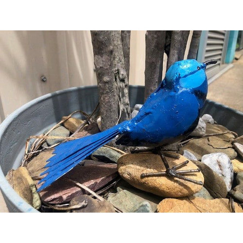 Blue Rain (Tail up) Bird