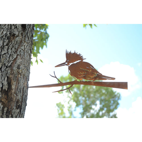 Kingfisher (spikes into tree or fence post)