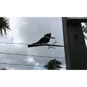 Kingfisher (spikes into tree or fence post)